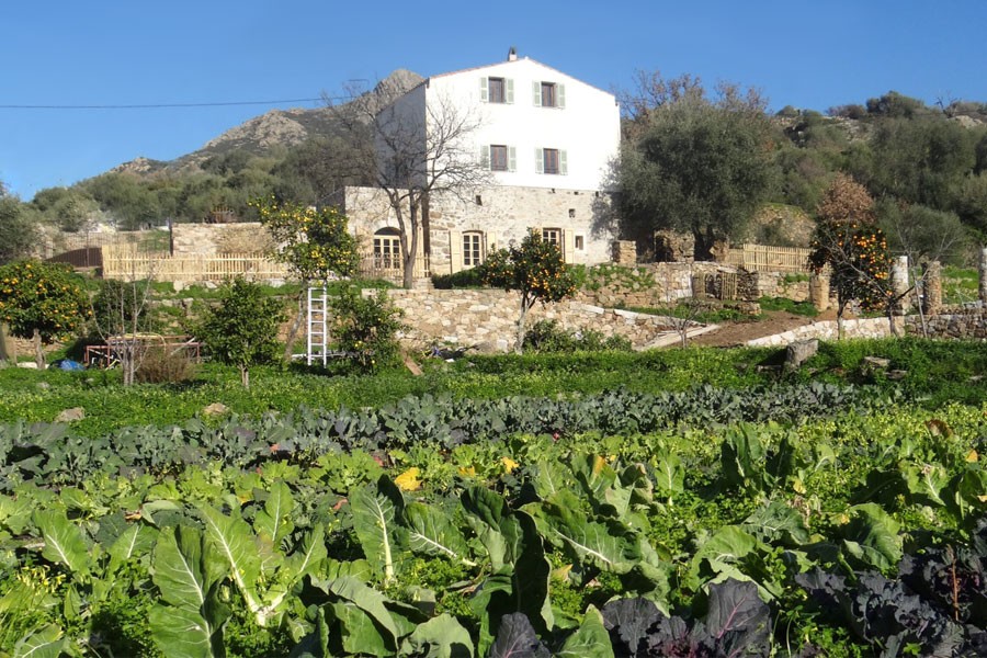 gite-corse-balagne-001